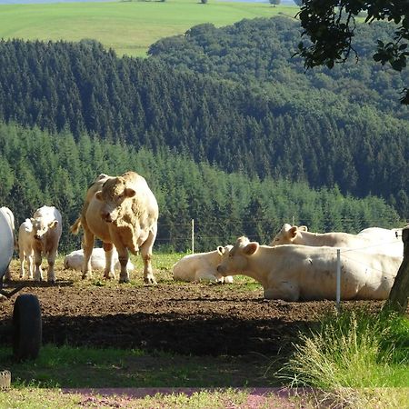 شقة Urlaub Mit Hund Auf Dem Bauernhof Hofswald Euscheid المظهر الخارجي الصورة