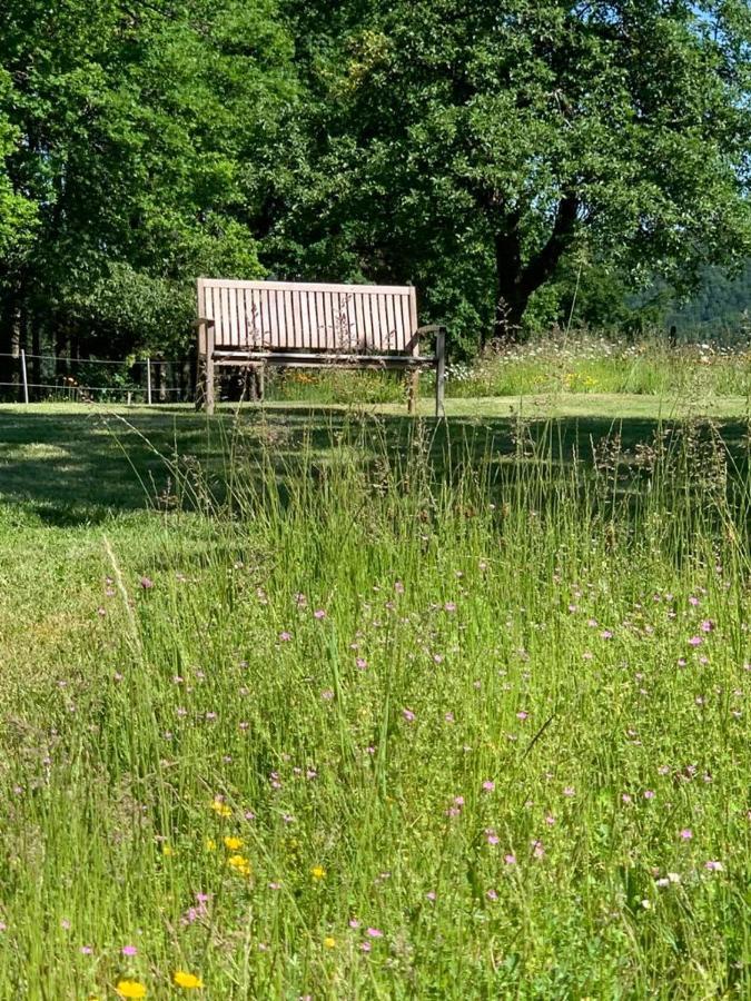 شقة Urlaub Mit Hund Auf Dem Bauernhof Hofswald Euscheid المظهر الخارجي الصورة