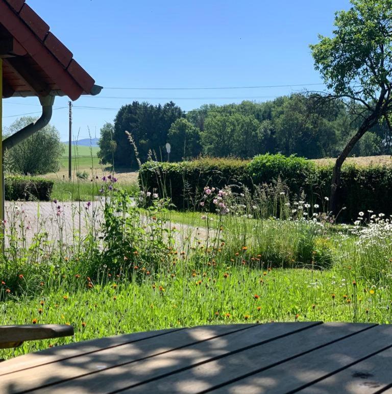 شقة Urlaub Mit Hund Auf Dem Bauernhof Hofswald Euscheid المظهر الخارجي الصورة