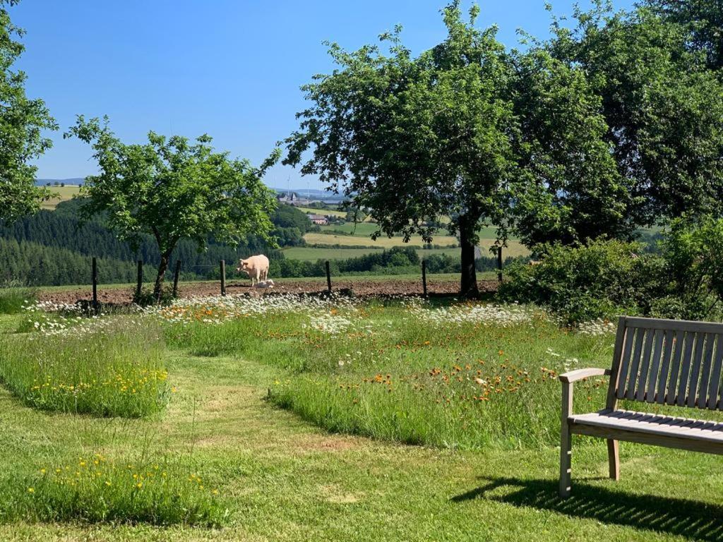 شقة Urlaub Mit Hund Auf Dem Bauernhof Hofswald Euscheid المظهر الخارجي الصورة