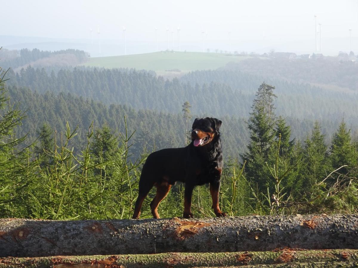 شقة Urlaub Mit Hund Auf Dem Bauernhof Hofswald Euscheid المظهر الخارجي الصورة