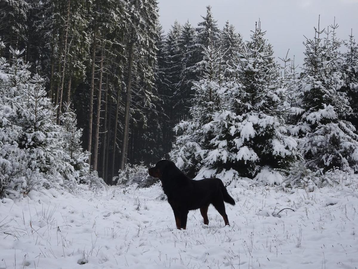 شقة Urlaub Mit Hund Auf Dem Bauernhof Hofswald Euscheid المظهر الخارجي الصورة